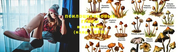 героин Алексеевка