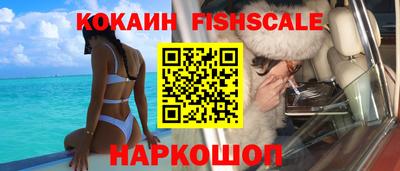 шишки Гатчина