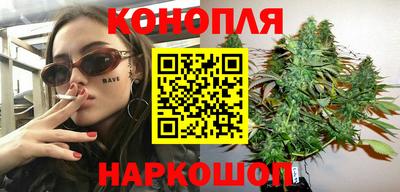 шишки Гатчина