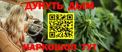 шишки Гатчина