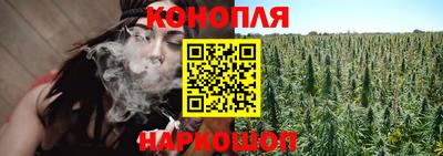 шишки Гатчина