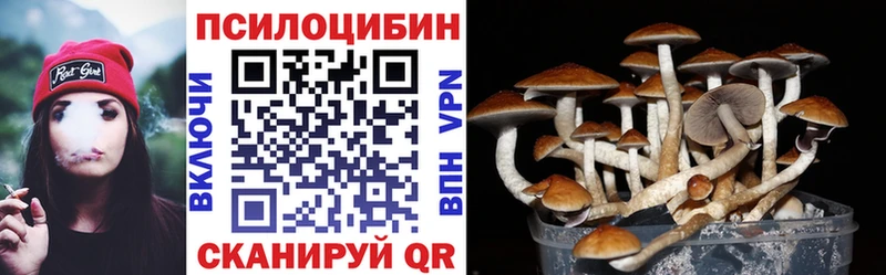 omg как зайти  Серов  Галлюциногенные грибы мухоморы 