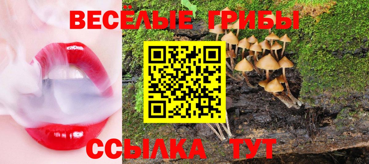 Галлюциногенные грибы Psilocybe  закладка  Серов  Вход с VPN 