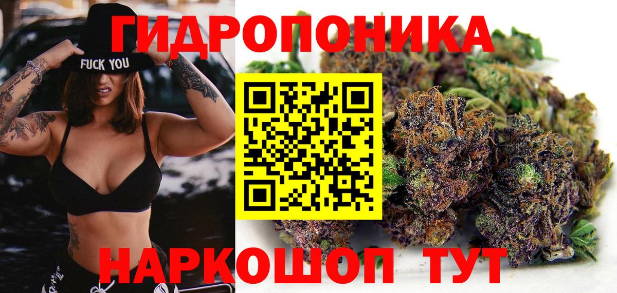 Бошки Шишки LSD WEED  Вход с VPN  Каннабис VHQ  Серов  Бошки Шишки план 